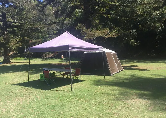 Basin Ku-Ring-Gai Campsite Set Up