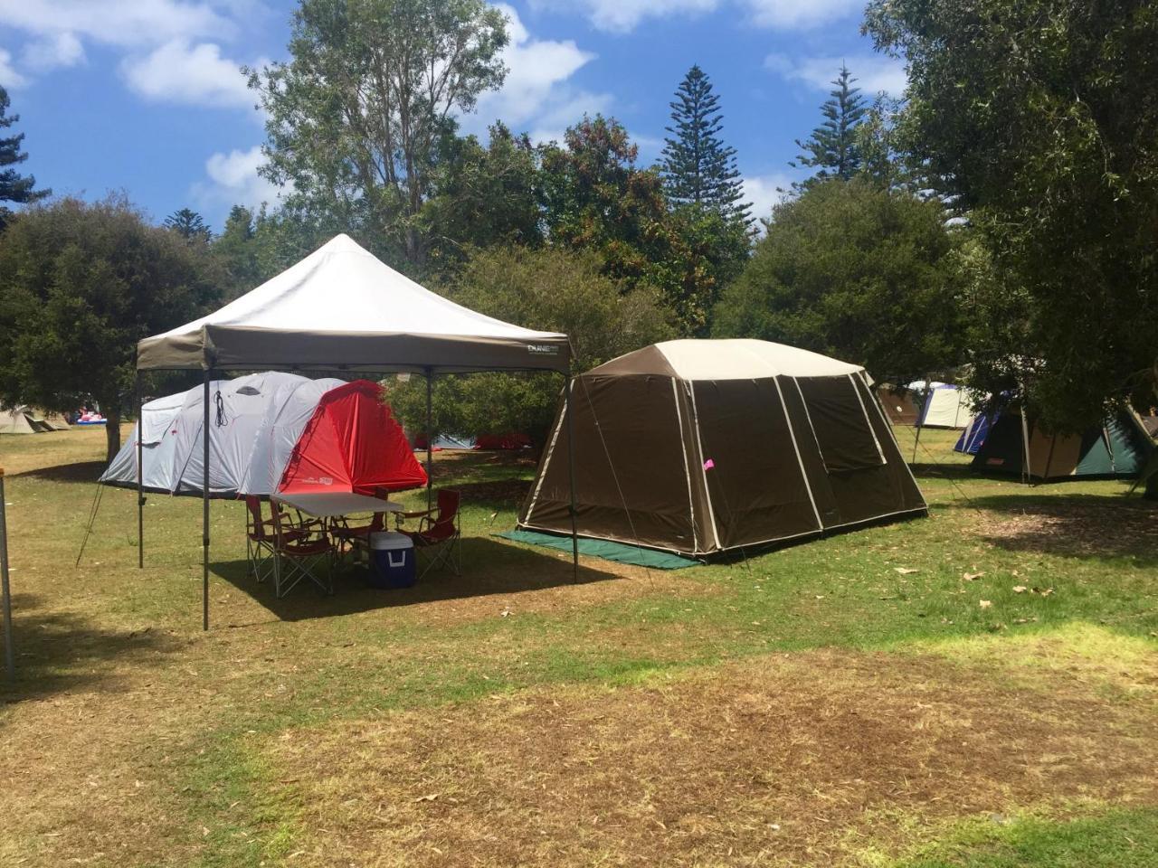 Luxury tent Basin Ku Ring Gai Campsite Set Up *