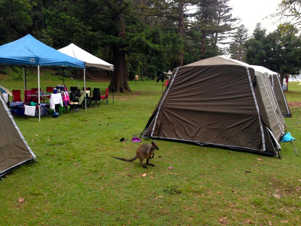 Basin Ku Ring Gai Campsite Set Up *